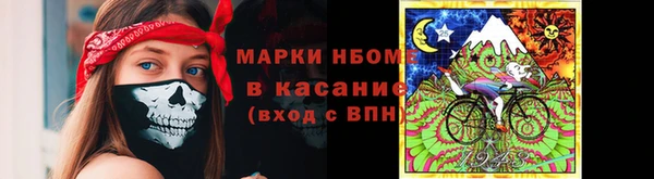крисы Алзамай
