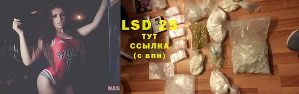 крисы Алзамай