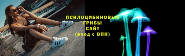 крисы Алзамай