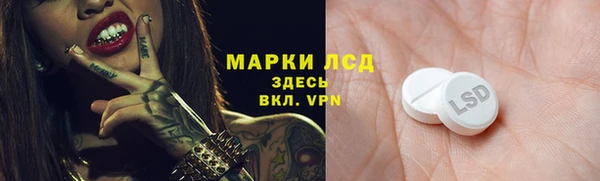 прущие грибы Алексин