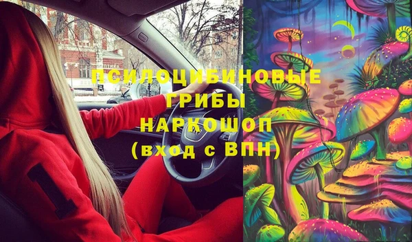 крисы Алзамай