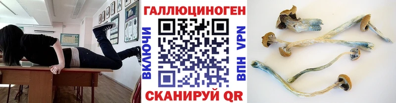 Псилоцибиновые грибы ЛСД  Полевской 
