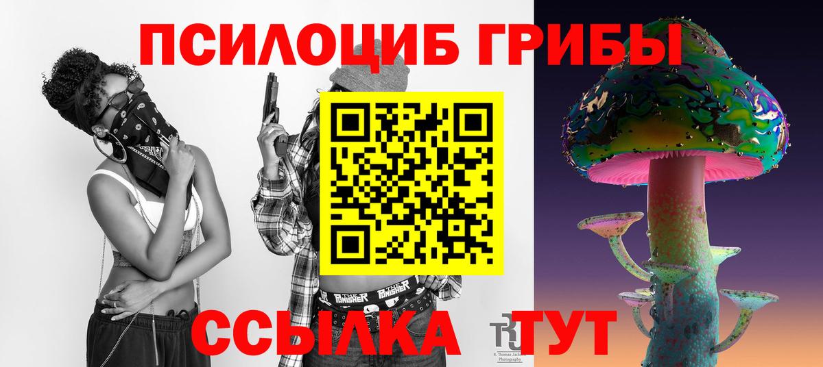 Галлюциногенные грибы Cubensis  хочу   Полевской  Вход с VPN 