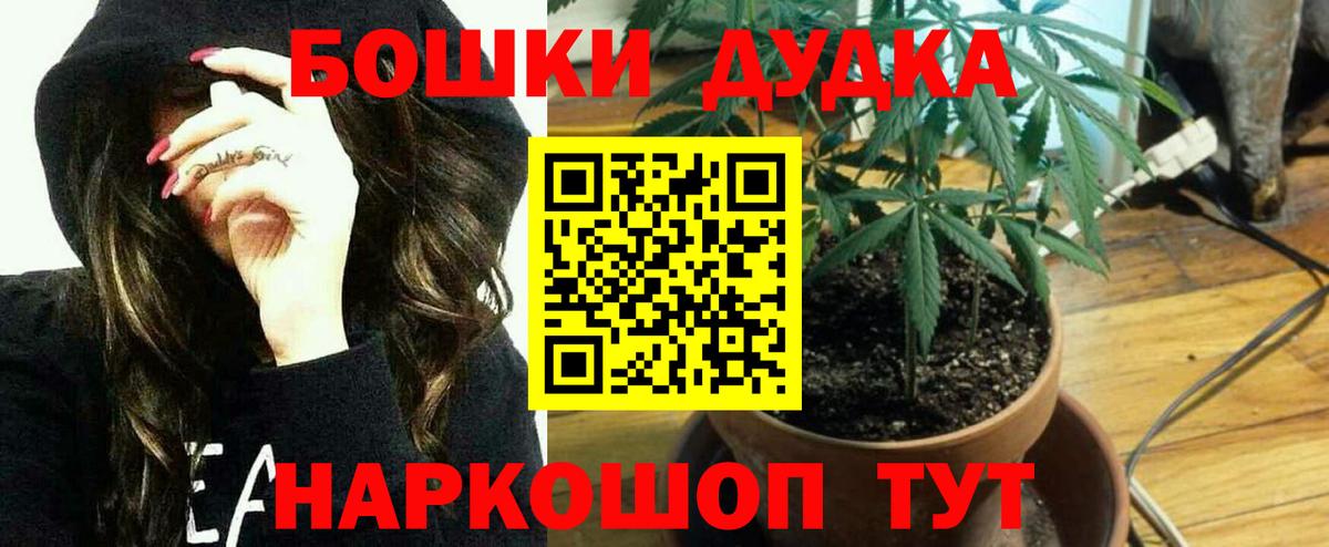 Бошки Шишки Amnesia Полевской